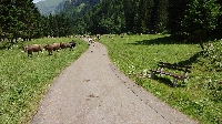 Alpencross2015-07-04 Etappe 1 (4)