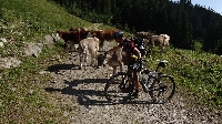 Alpencross2015-07-05 Etappe 2 (10)