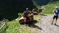 Alpencross2015-07-05 Etappe 2 (14)