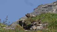 Alpencross2015-07-06 Etappe 3 (3)