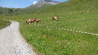 Alpencross2015-07-07 Etappe 4 (1)