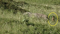 Alpencross2015-07-09 Etappe 6 (10)