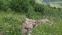 Alpencross2015-07-10 Etappe 7 (20)