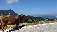 Alpencross2015-07-11 Etappe 8 (13)