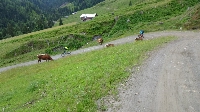 Alpencross 2016: Etappe 2 (10)