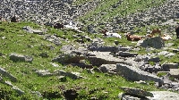 Alpencross 2016: Etappe 3 (4)