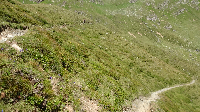 Alpencross: Etappe 2 (3)