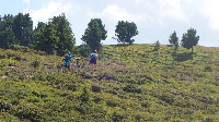 Alpencross: Etappe 3 (7)