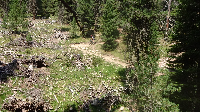 Alpencross: Etappe 4 (9)