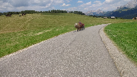 Alpencross: Etappe 4 (8)