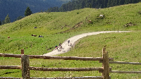 Alpencross: Etappe 4 (10)