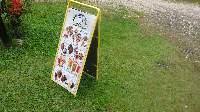 Alpencross: Etappe 5 (10)