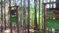 Alpencross: Etappe 6 (4)