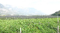 Alpencross: Etappe 6 (4)