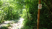 Alpencross: Etappe 7 (9)