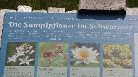 2017 Alpentour, Tag 7 (12)