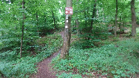 Geburtstagstour auf dem Limes (2)