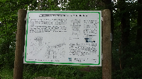 Geburtstagstour auf dem Limes (9)