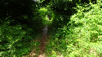 Geburtstagstour auf dem Limes (1)