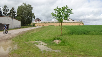 Geburtstagstour auf dem Limes (2)