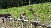 Geburtstagstour auf dem Limes (8)