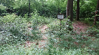 Geburtstagstour auf dem Limes (3)