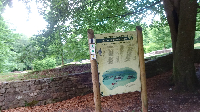 Geburtstagstour auf dem Limes (6)