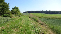 Geburtstagstour auf dem Limes (9)
