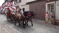 Geleit Seligenstadt 2015 (8) Geleit Seligenstadt 2015 (8)