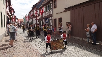 Geleit Seligenstadt 2015 (19) Geleit Seligenstadt 2015 (19)