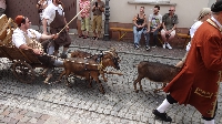 Geleit Seligenstadt 2015 (13) Geleit Seligenstadt 2015 (13)