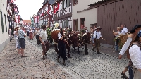 Geleit Seligenstadt 2015 (19) Geleit Seligenstadt 2015 (19)