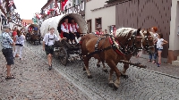 Geleit Seligenstadt 2015 (9) Geleit Seligenstadt 2015 (9)