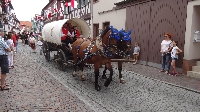 Geleit Seligenstadt 2015 (10) Geleit Seligenstadt 2015 (10)