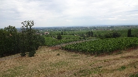 Kalmit-Tour 26.07.2015 (11)